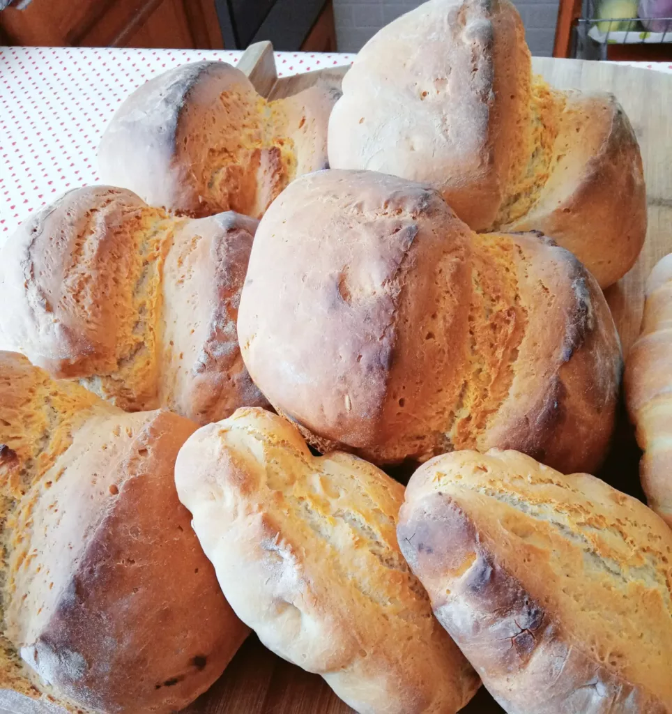 From the mill to the Miscasale bakery