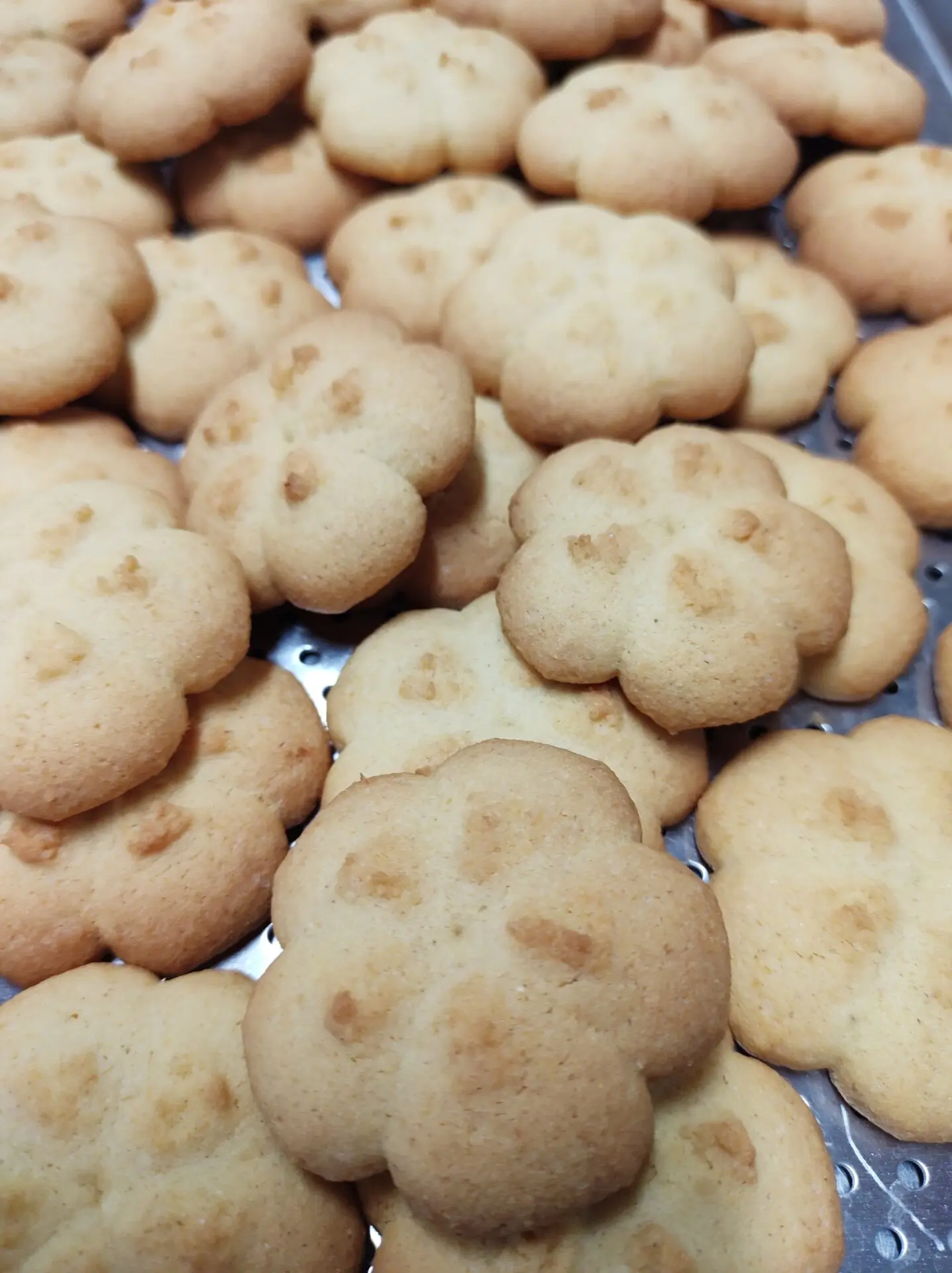 Paste di Meliga - immagine 2