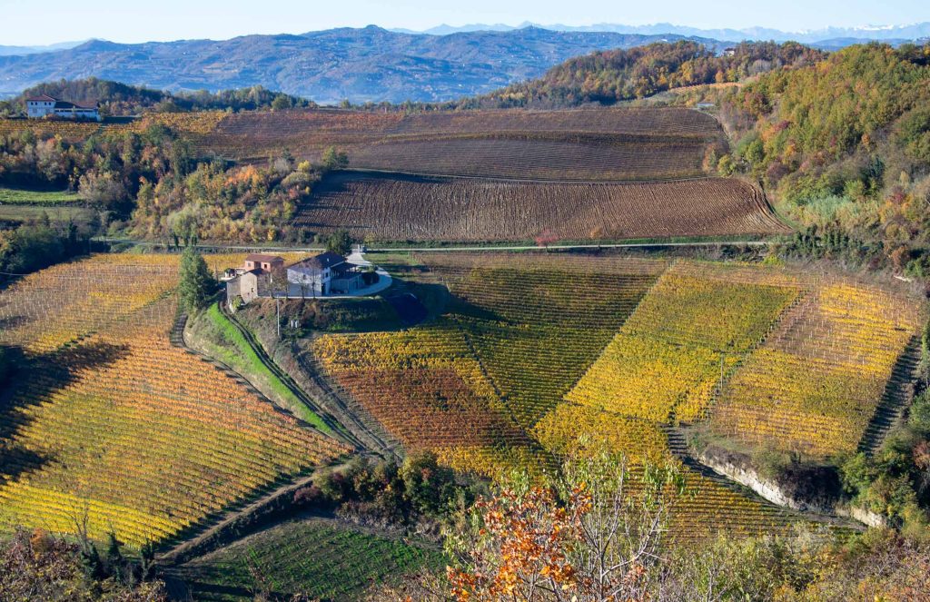 Miscasale fields and farmhouse in Montabone